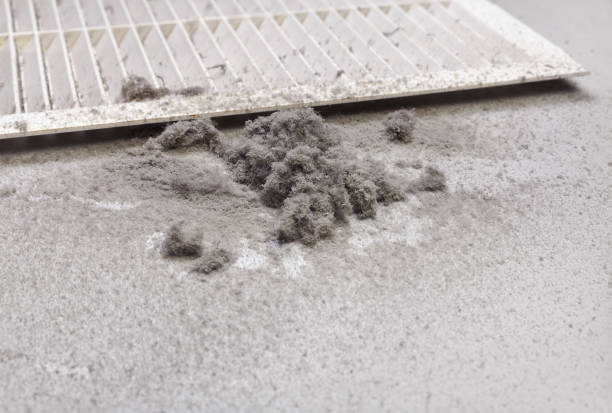 Best HVAC System Cleaning  in Six Mile Run, NJ